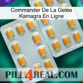 Commander De La Gelée Kamagra En Ligne cialis4
